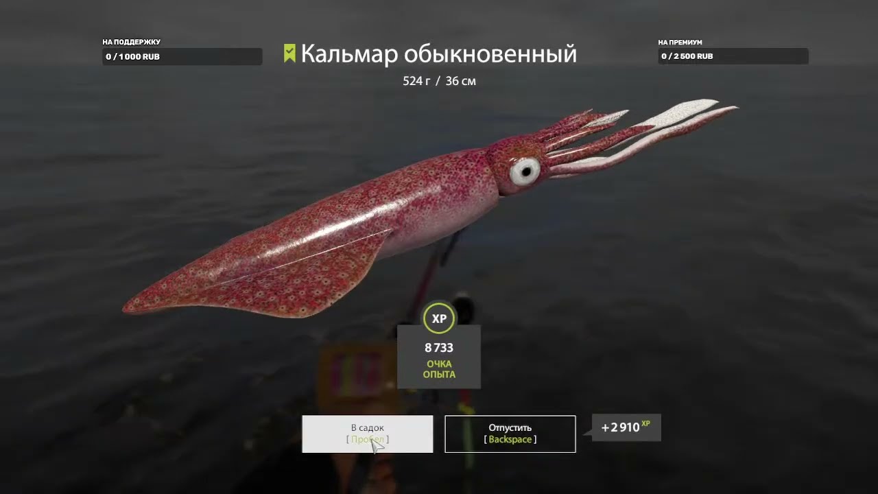 Прямая трансляция  Русская рыбалка4  Александр61 Скачать игру &laquo;Русская Рыбалка 4&raquo;-  