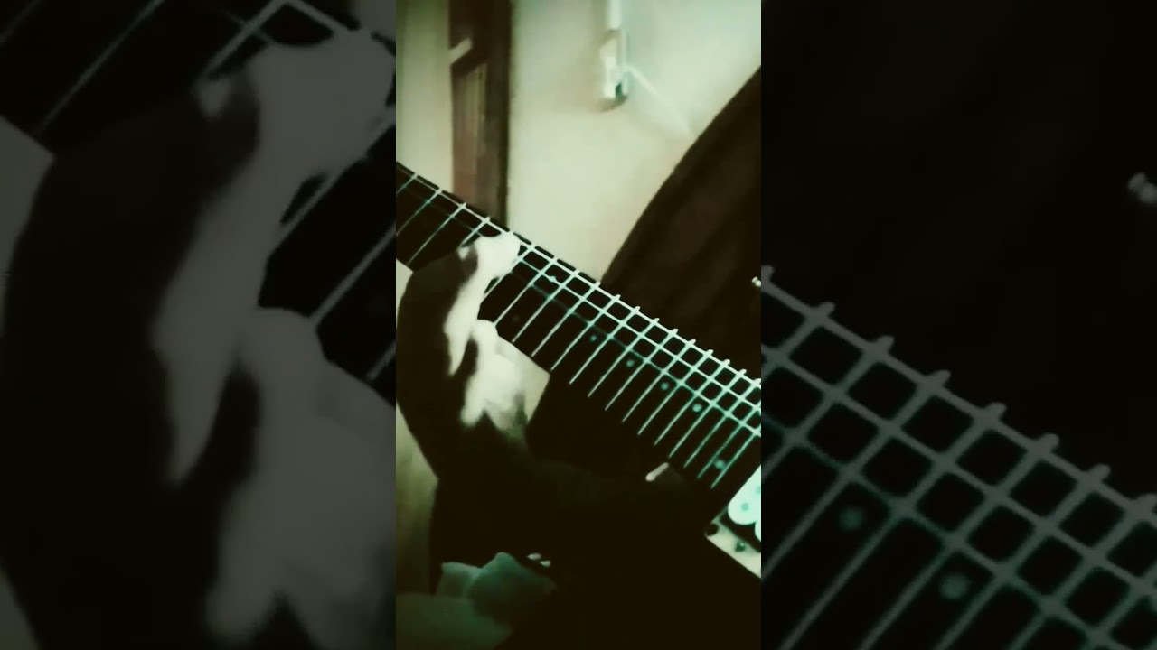 🎻🎸"Traveling in Space"part 3 Carvin Dc135, DEAN-RC8X, Schecter Cygnus JLX-7, Carvin Sc90