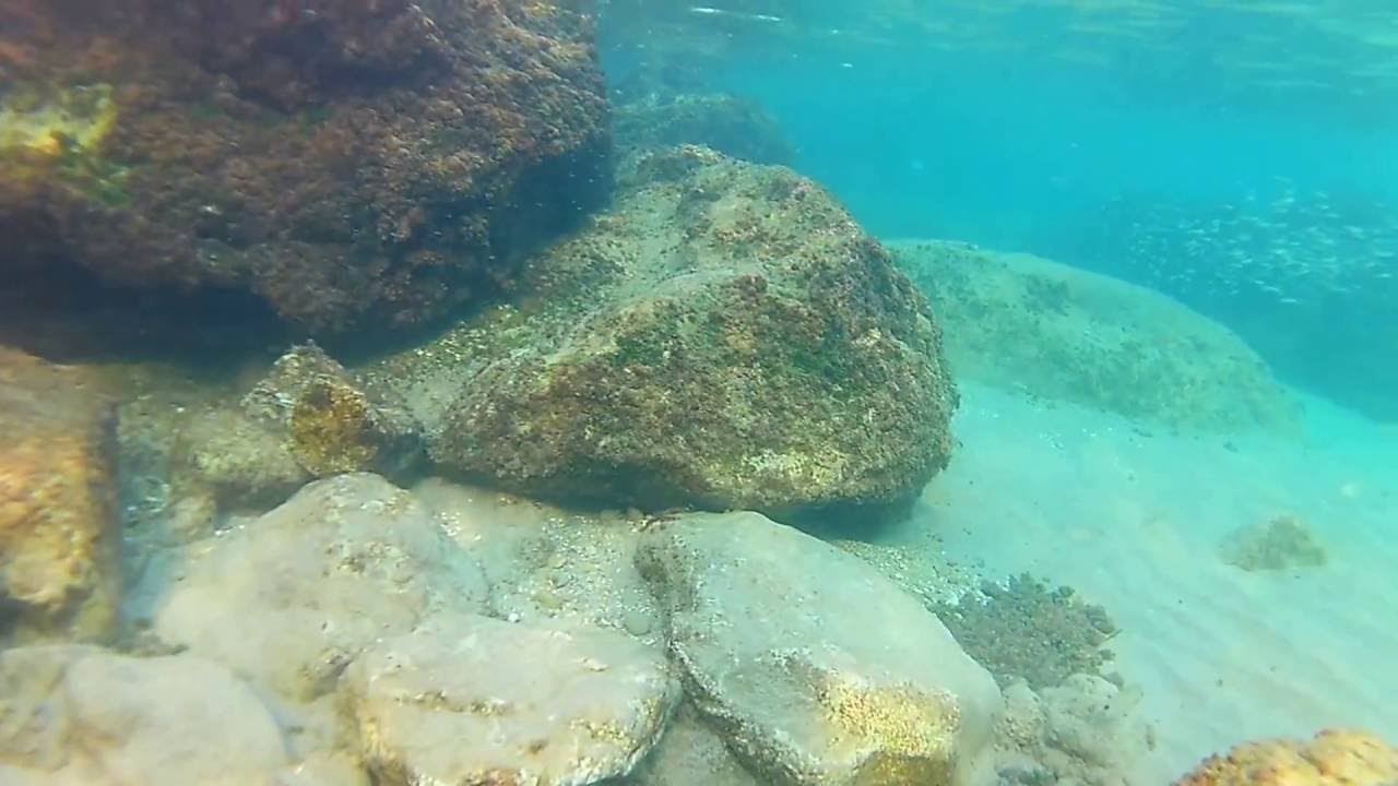 Grecja Rodos Kolymbia Nurkowanie