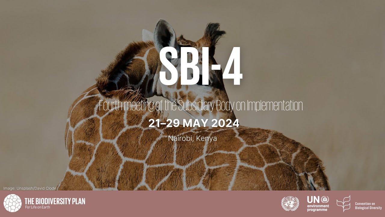 (English) SBI-4 Closing Press Conference - 29 May 2024 14:00 (GMT+3)