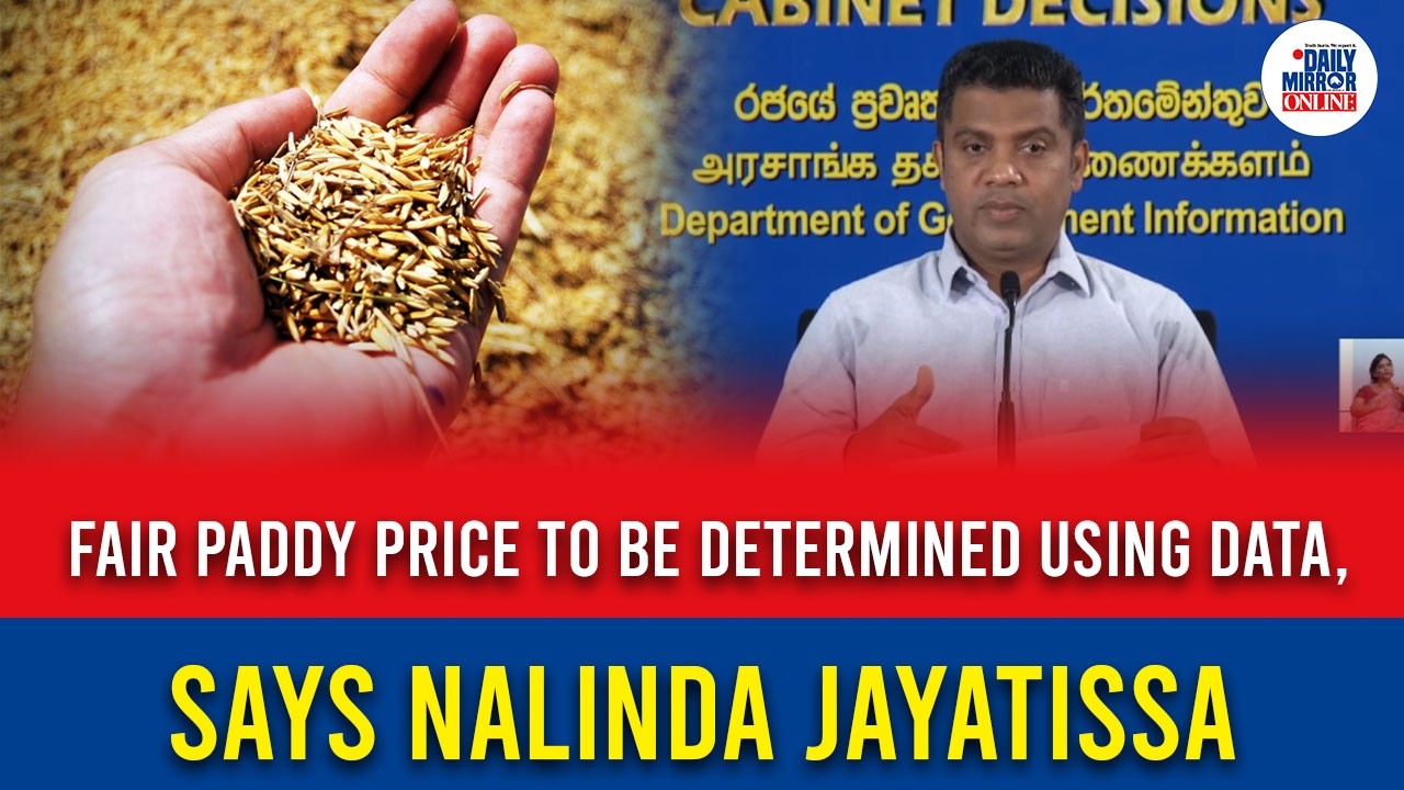 Fair Paddy Price to Be Determined Using Data, Says Nalinda Jayatissa