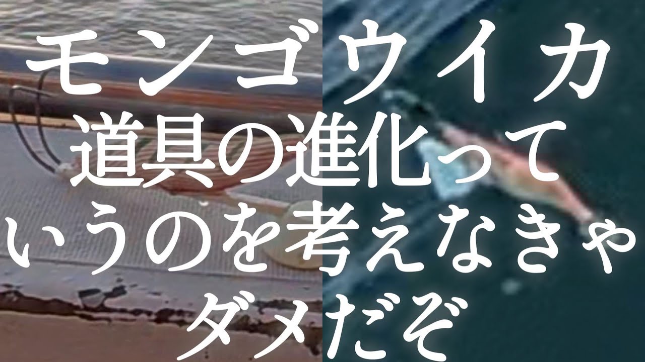 2026.2.14(土)小柴 三喜丸 モンゴウイカ 道具の進化っていうのを考えなきゃダメだぞ