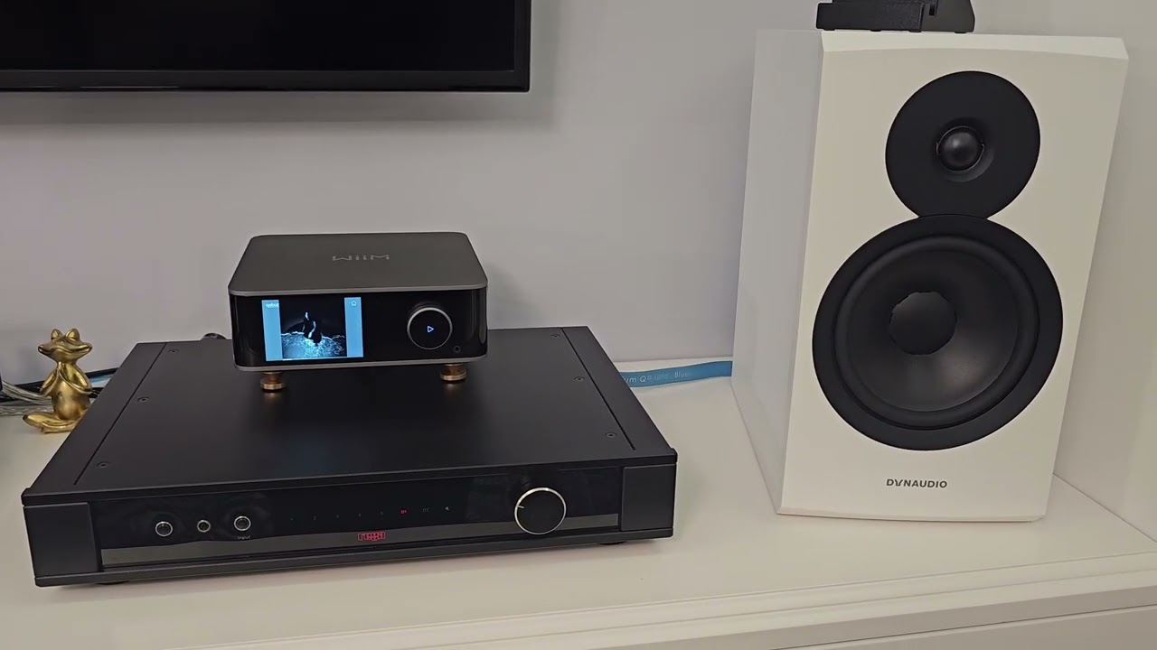 Wiim Ultra streamer.  Rega elex mk4 amplifier.