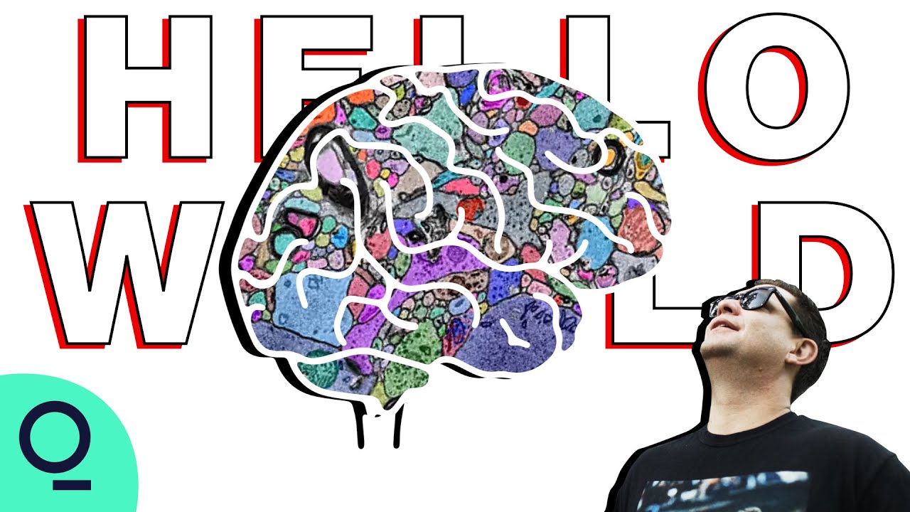 How Slicing Up Brains Could Unlock the Mind's Secrets