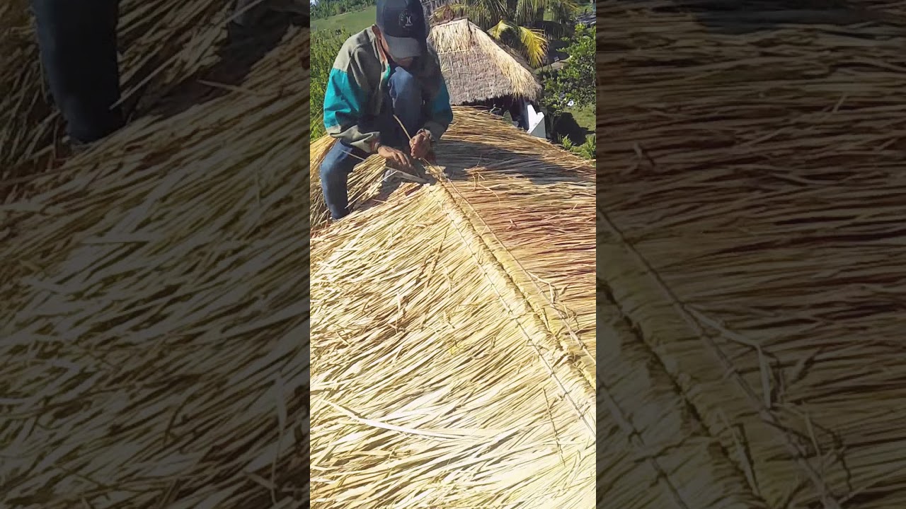 Proses pemasangan atap alang-alang