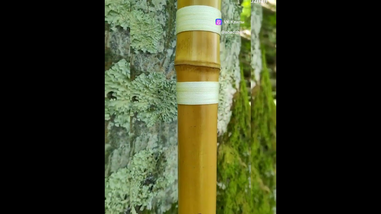 Флейта Югэн 3,6 山雷雨 (гром в горах) #сякухати #хотику #югэн #flute #shakuhachi #hocchiku #honkyoku