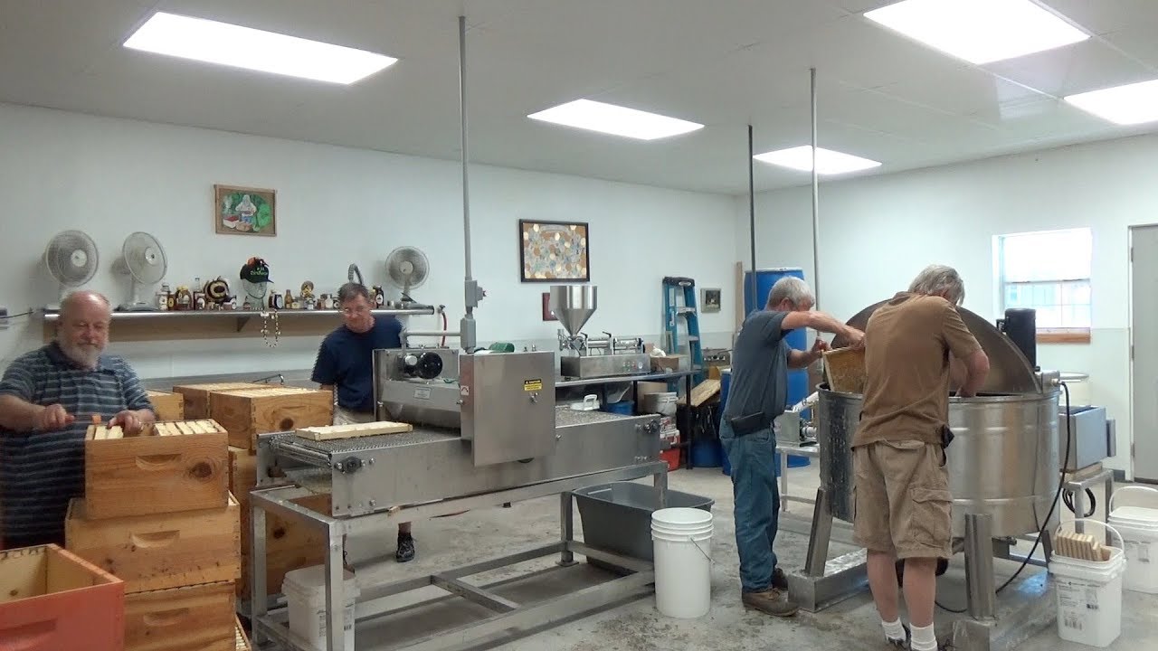 Extracting and processing 140 gallons of honey.