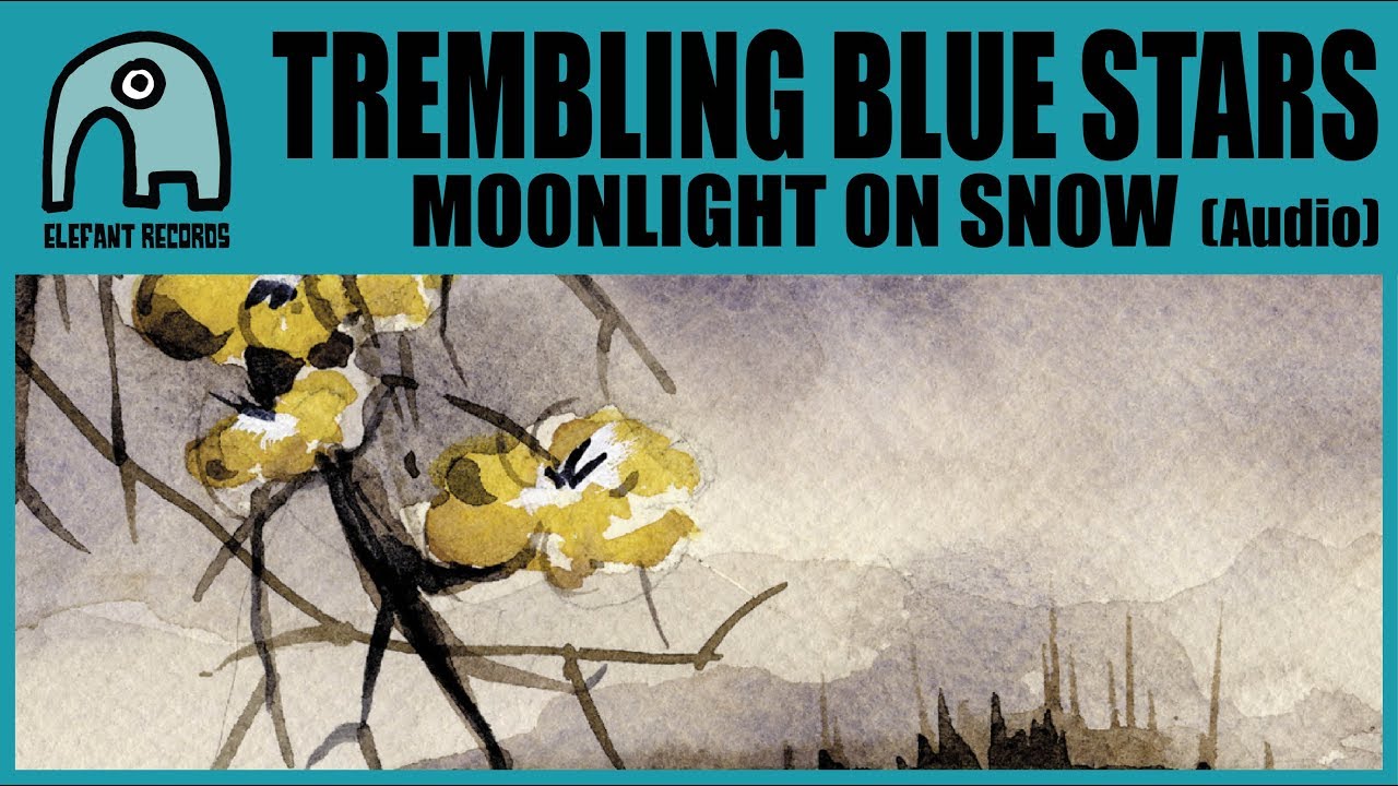 TREMBLING BLUE STARS - Moonlight On Snow [Audio]