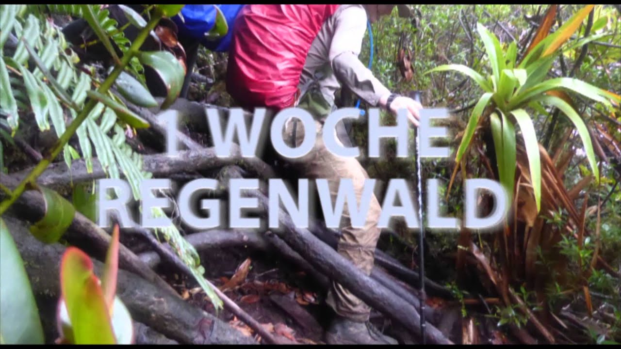VENEZUELA - Auyan Tepui, Angel Fall & Pico Humboldt