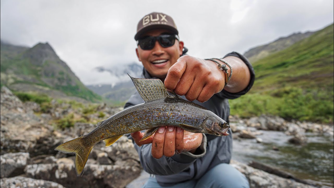 Alaskan Arctic Grayling Catch & Cook in the Mountains!