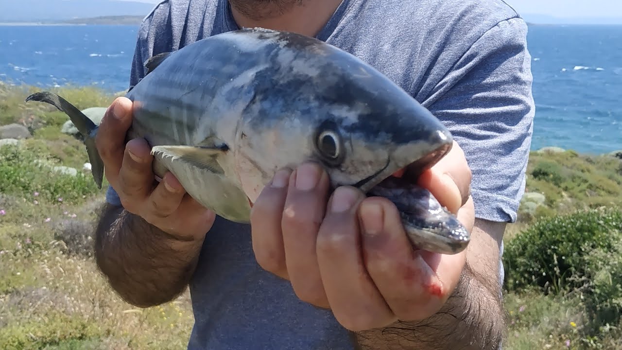 At Çek Shore Jig Torik ve Sinarit Balık Avı / Shorejig Bonito Dentex Fishing