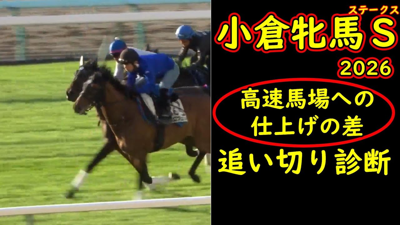 小倉牝馬ステークス2026｜追い切り診断で見えた高速馬場への仕上げの差を全頭から読み解く