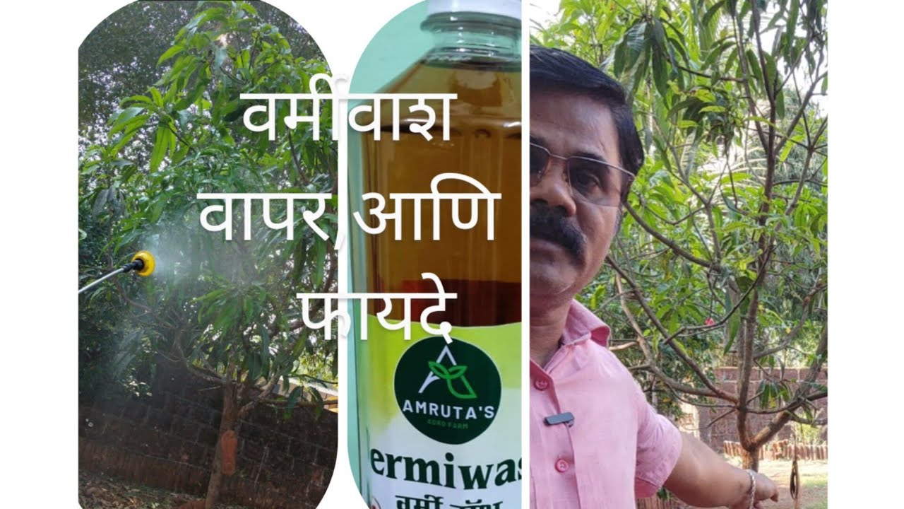 वर्मी वाश वापर, आणि त्याचे फायदे !