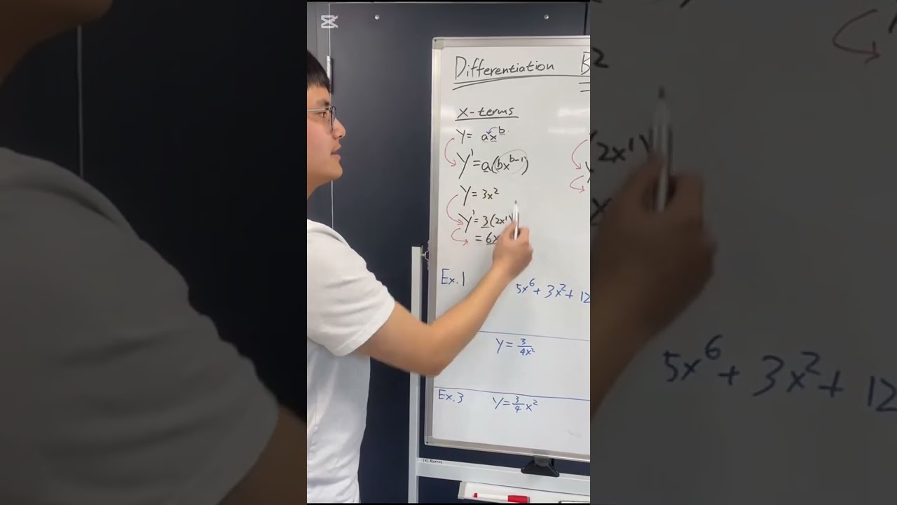 Basics of Differential Calculus (IB MATH AI SL/HL)
