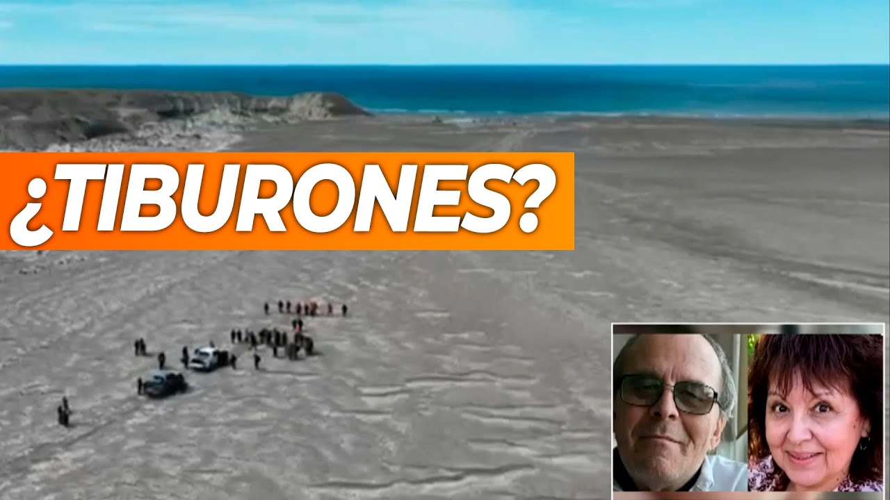 ¿Tiburones? Los investigadores no descartan ninguna hipótesis en la búsqueda de los dos ancianos