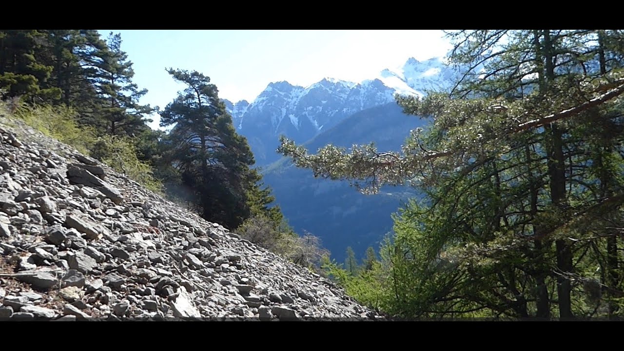 Serre des Hieres 08 05 25