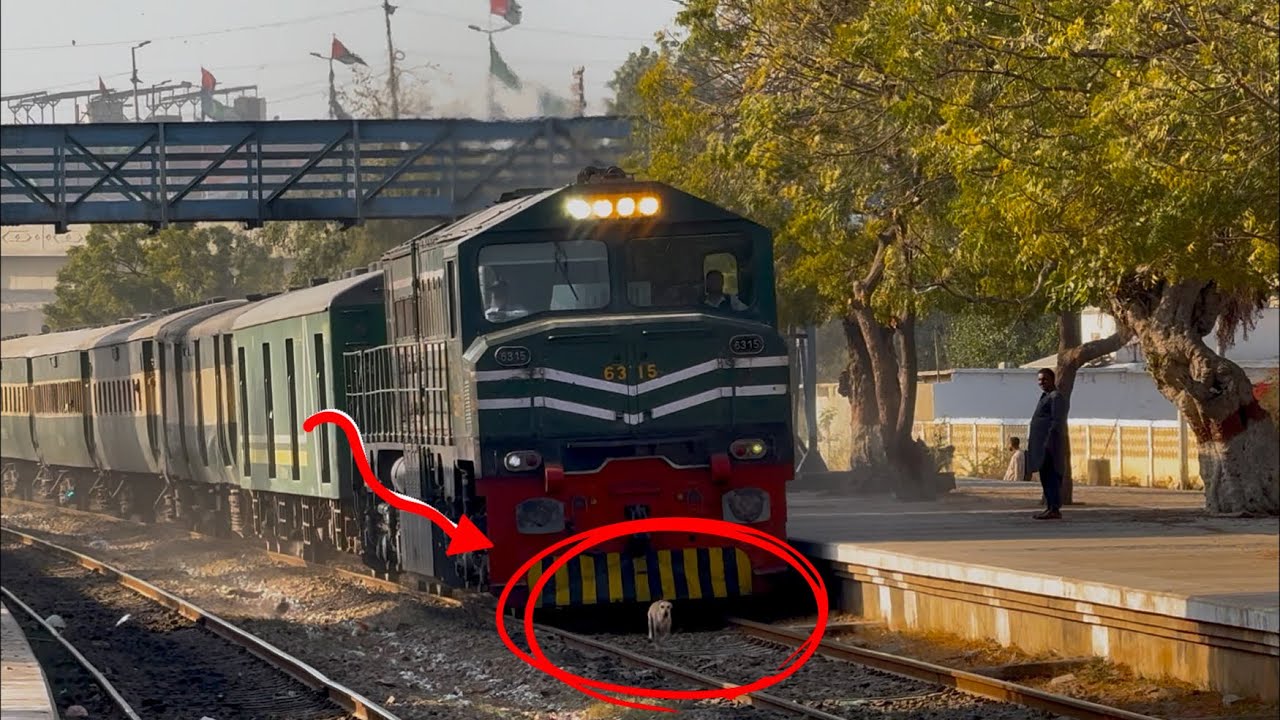 Karakuram Express Hit Dog 🐶 Evening Speedy Train capture 