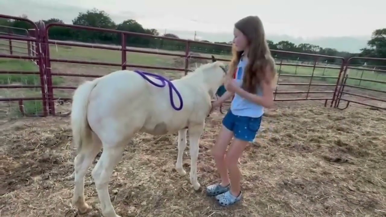Foot training with Trissy