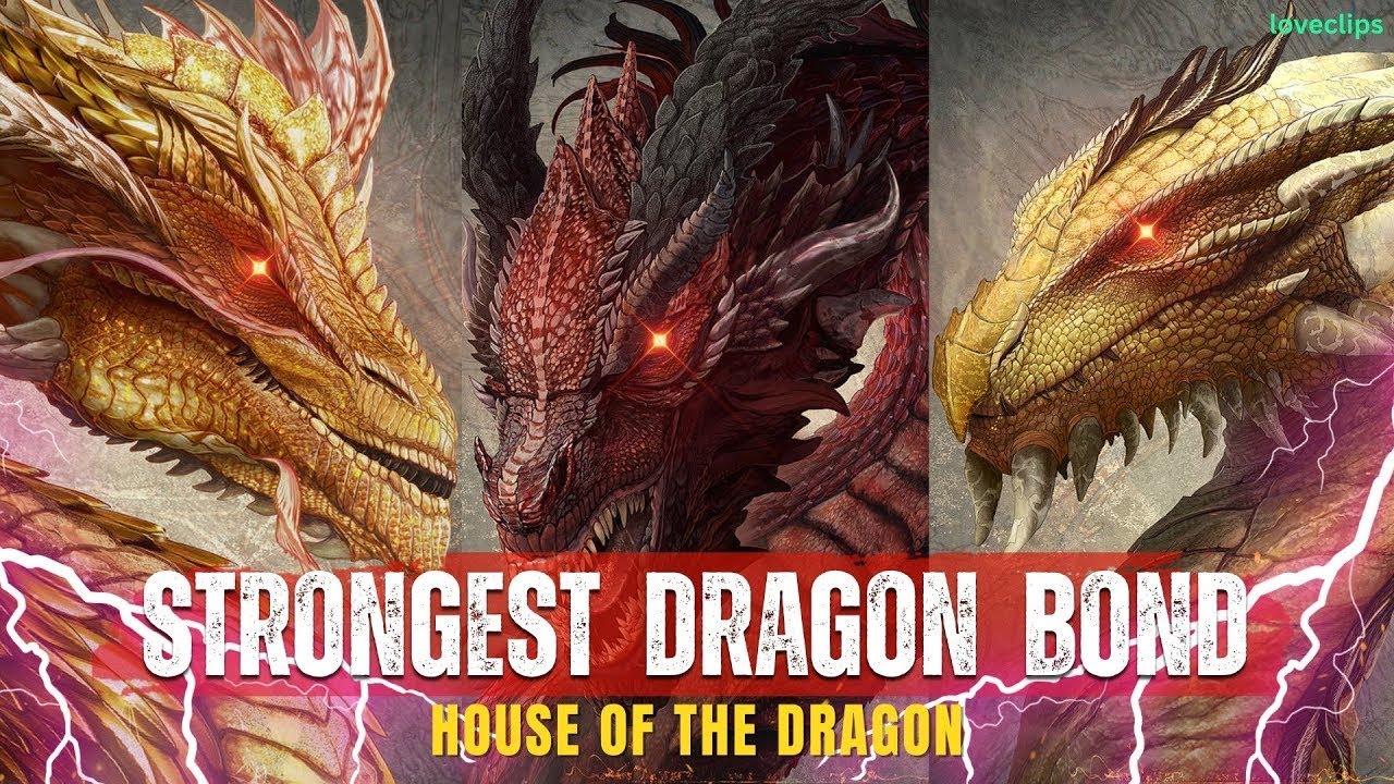 Who Had the STRONGEST Bond with Dragons in House of the Dragon #got #hotd
