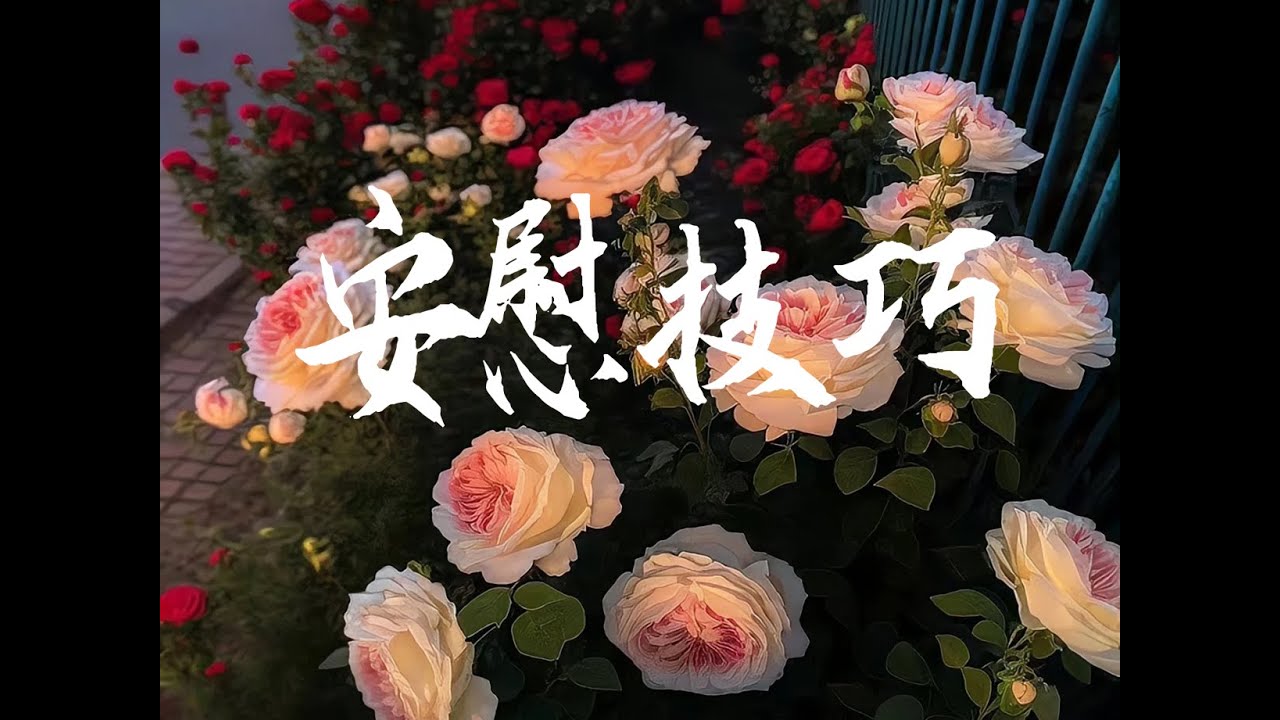这样安慰人，他可能会爱上你