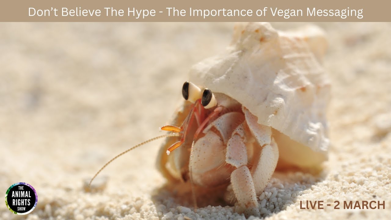 Animal Rights Show | Don't Believe the Hype: The Importance of Vegan Messaging