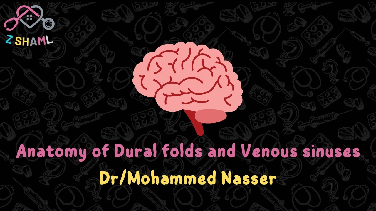 1- Anatomy of Dural folds and Venous Sinuses