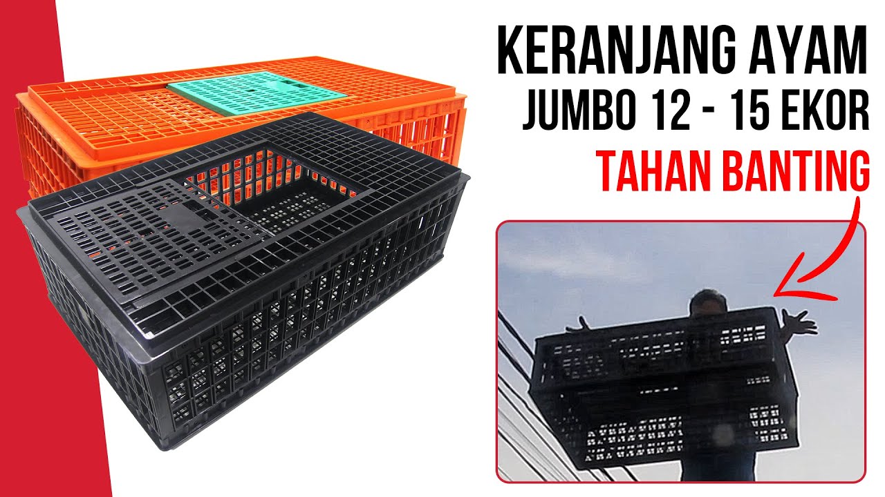 Keranjang Ayam Jumbo - Perakitan & Tes Ketahanan