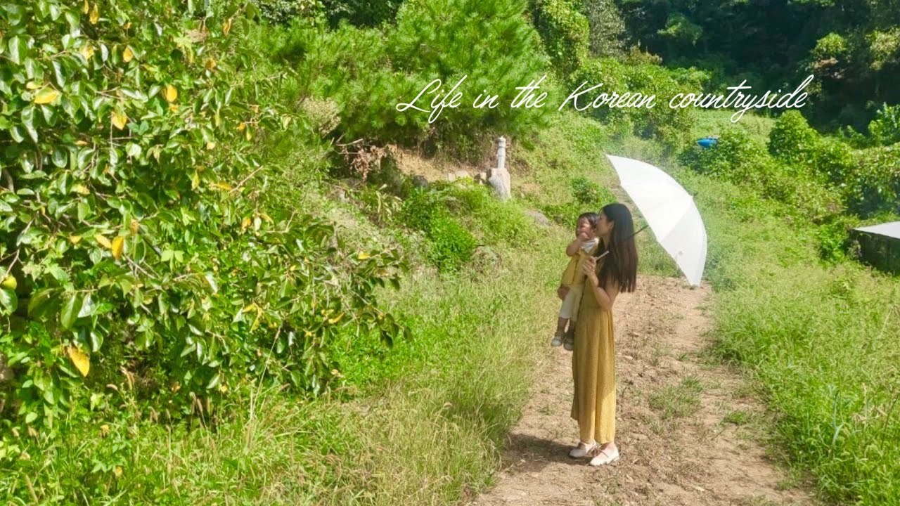 한국시골에 사는 한일가족의 바쁘고 소란했던 여름🍃💭대략 30년 이상 된 시골집을 정리하고 리뉴얼해요 韓国の田舎で暮らす日韓家族の騒がしく慌ただしい夏 築30年以上の家の中をリニューアルする