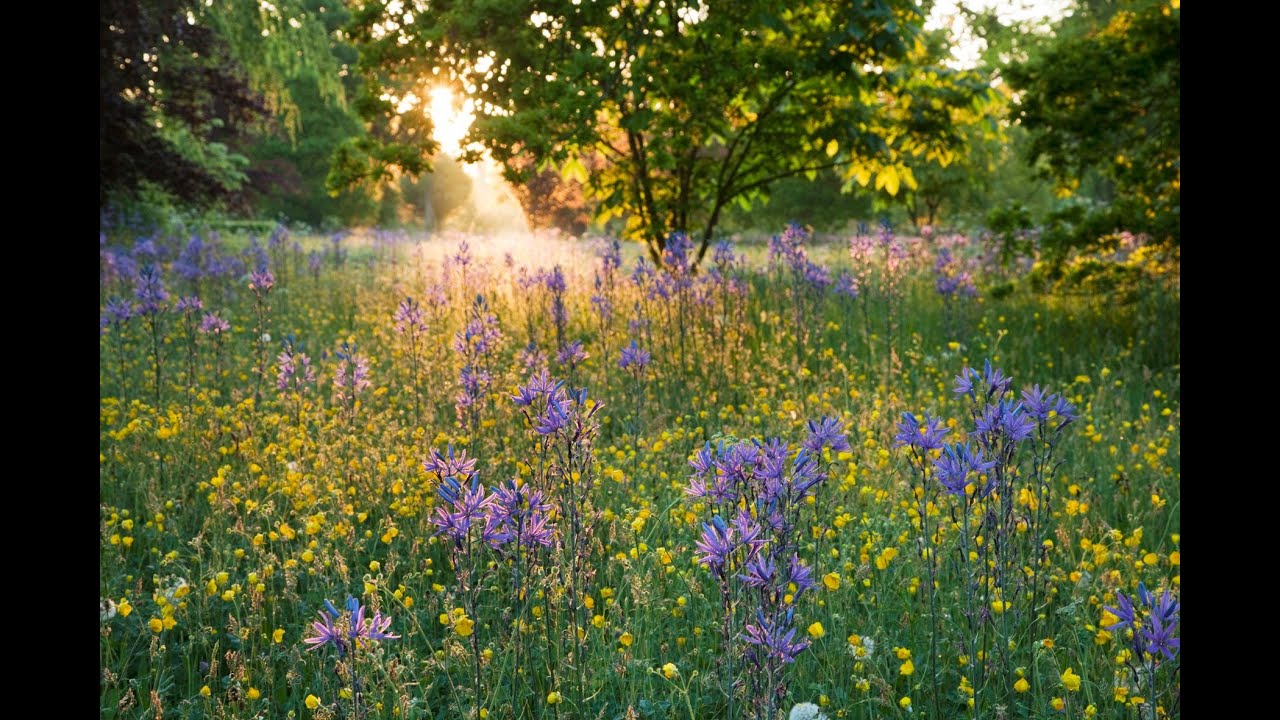 Highgrove: Discover its sustainable secrets
