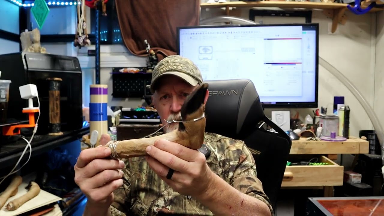How to setup deer hooves for curing