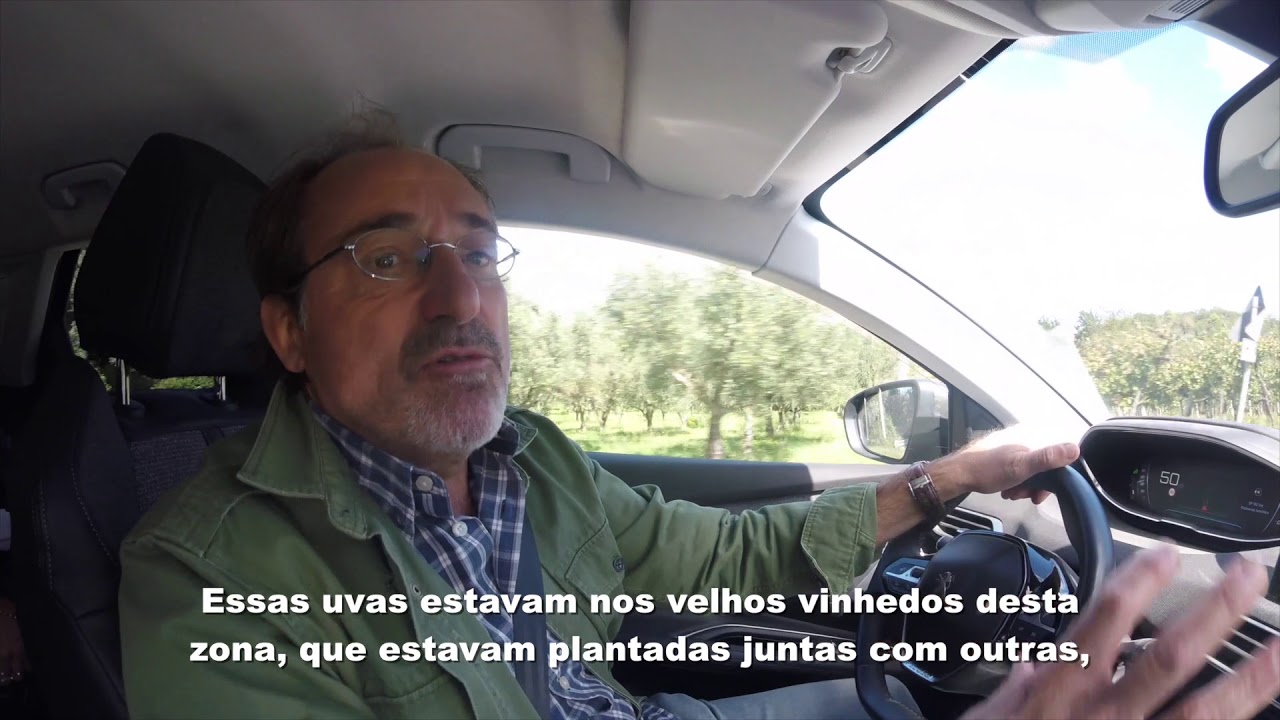 Uva rara Agostinella &eacute; a paix&atilde;o de Raffaello Annicchiaricco