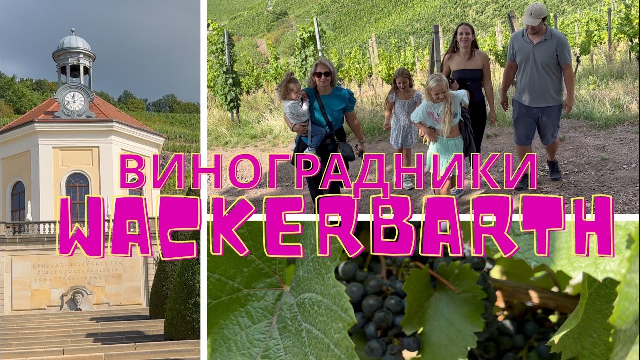 Самый северный виноградник Европы.Wackerbarth. Приехала старшая дочь