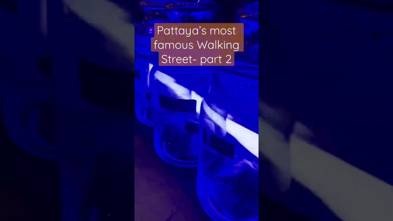 Pattaya’s Most NOTORIOUS - WALKING STREET. Part 2. Let us know if you saw it..? 🍆 hahahaha