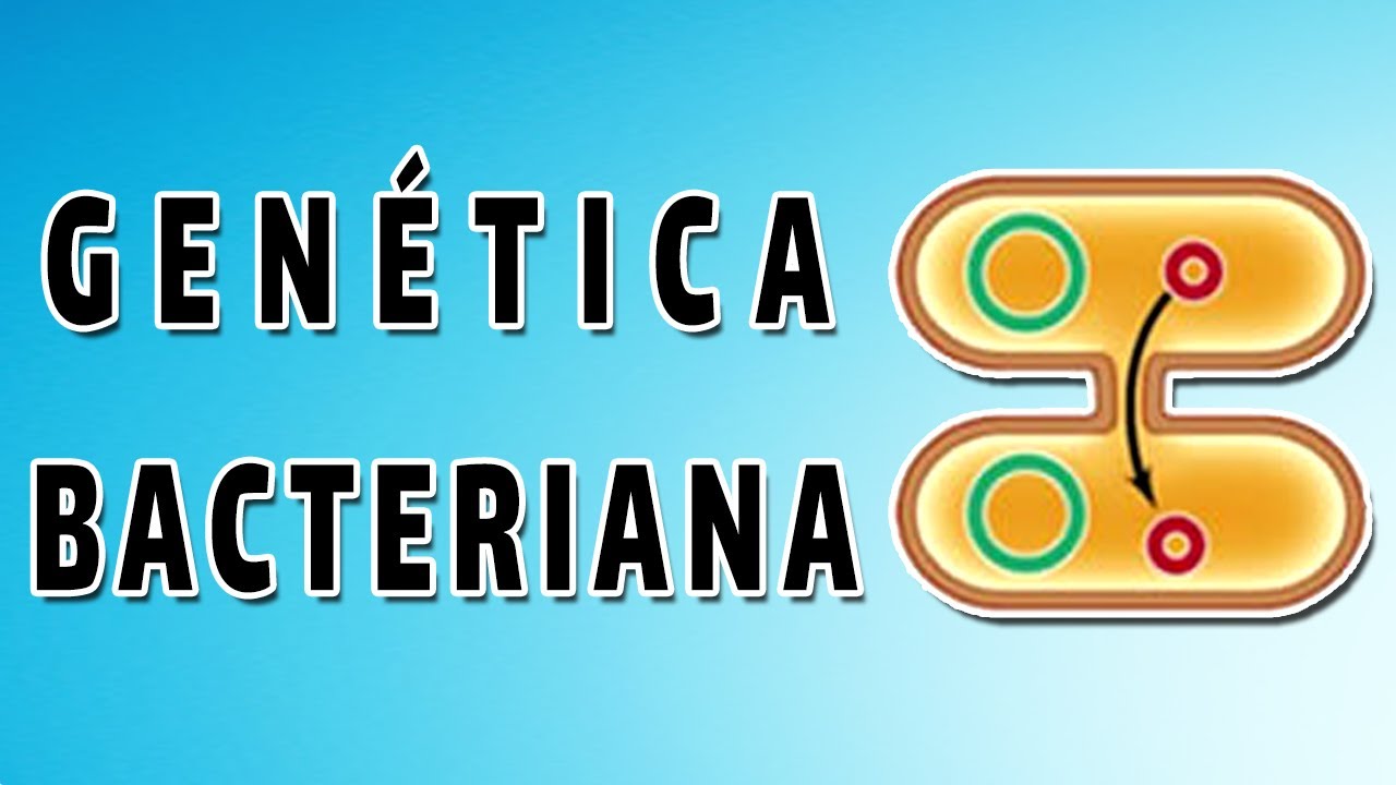 Transformación, Conjugación, Transposición y Transducción