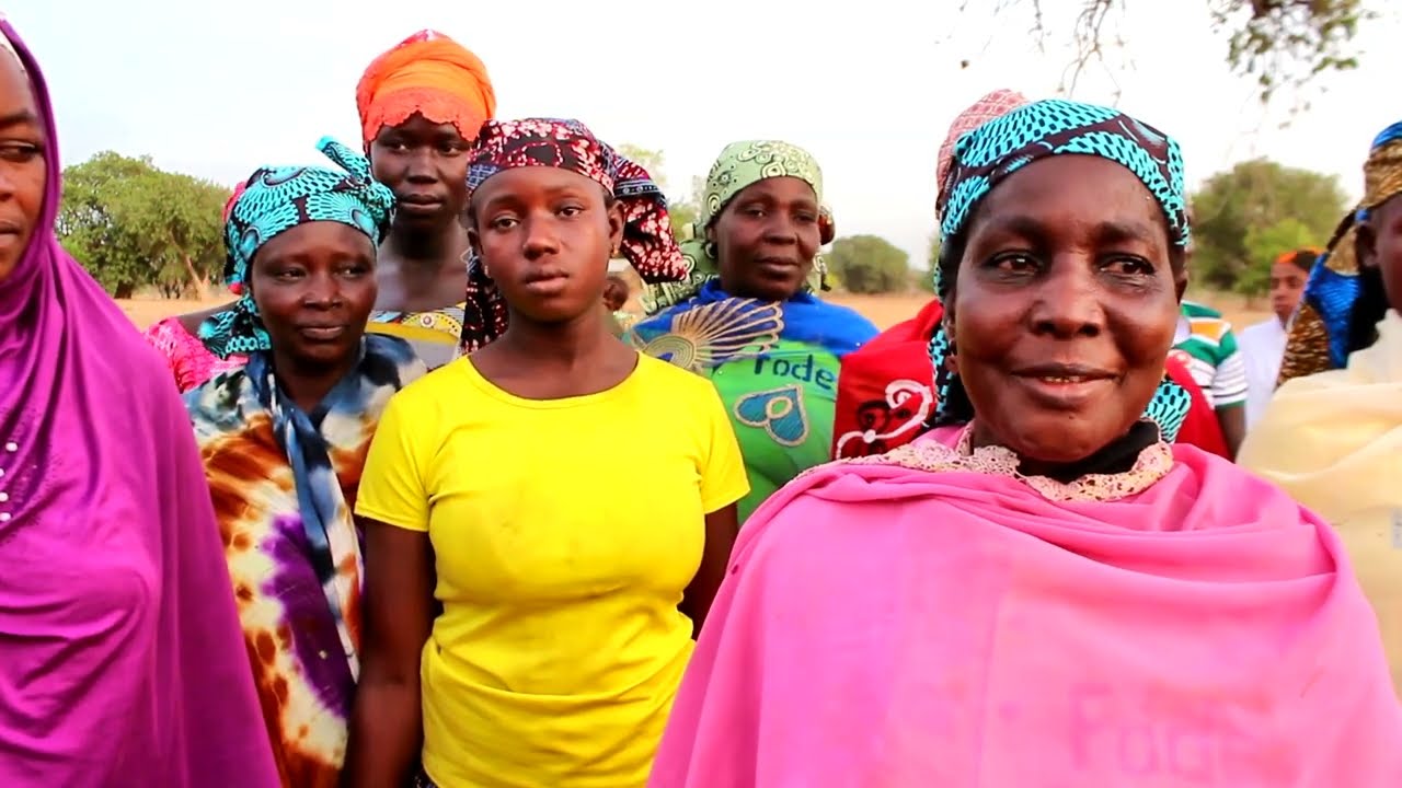 Paysage du Nord Cameroun : Sécuriser l'alimentation et protéger la biodiversité