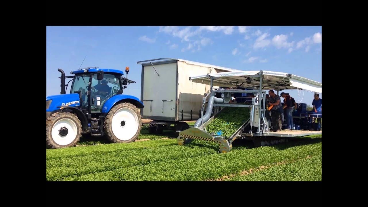 ORTOMEC 9000 -  RACCOLTA SPINACIO - HARVESTING OF THE SPINACH