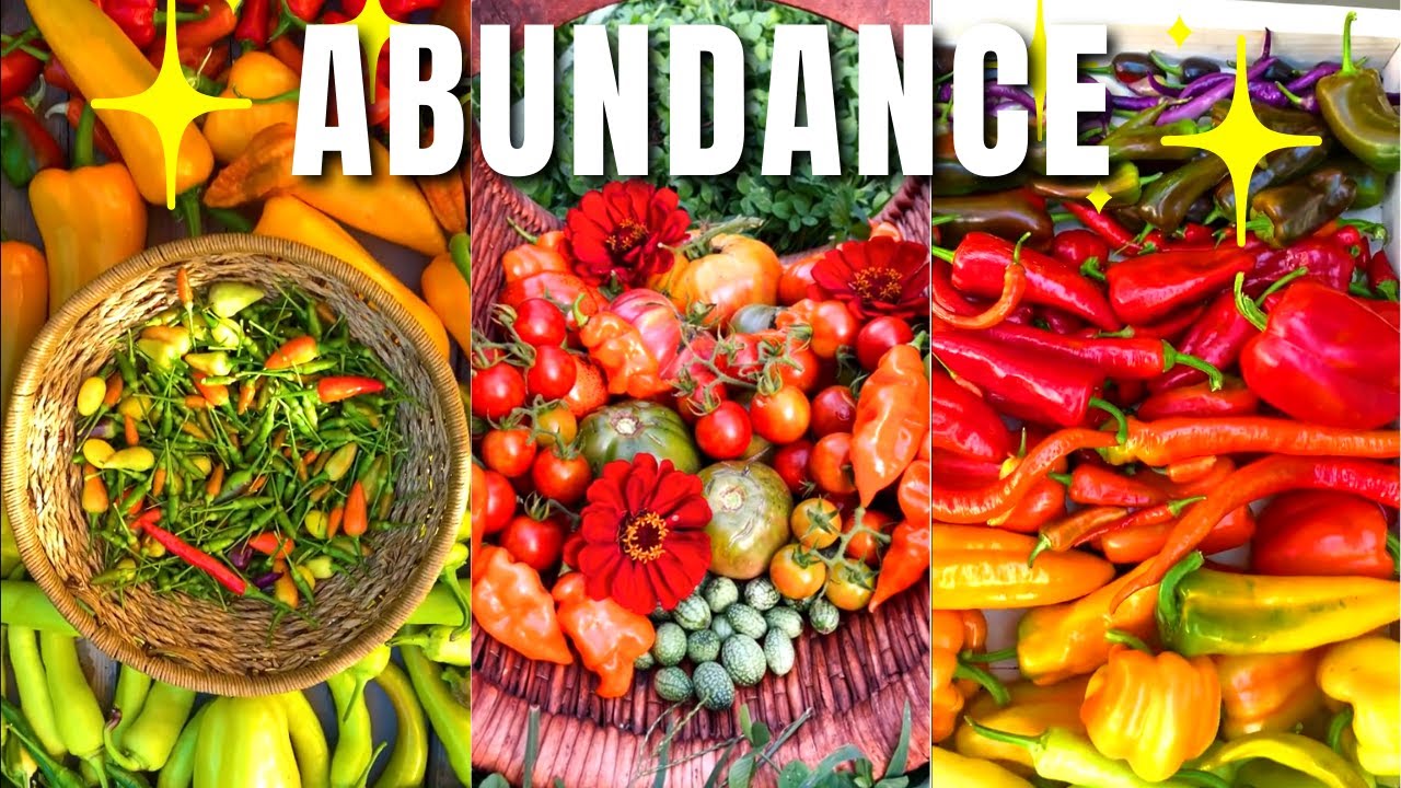 GARDEN Harvesting Compilation | November 2022 Part 3 - Compilation by Garden Therapy