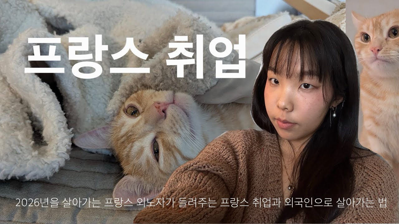 프랑스 취업 1년 후기/2026년을 살아가는 프랑스 외노자가 들려주는 프랑스 취업과 외국인으로 살기/프랑스 유학 정책 변화/학생 보조금 폐지/프랑스 석사 유학/파리에서 일하기