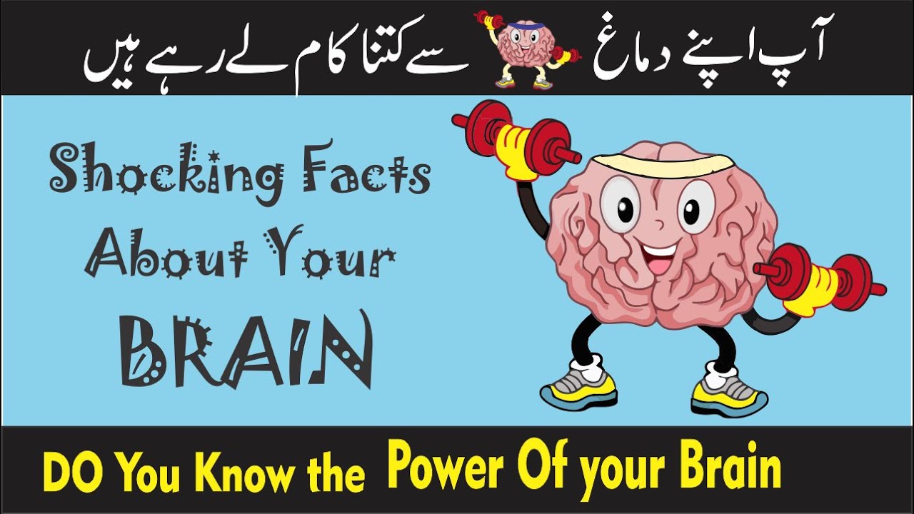 10 Shocking Facts About The Human Brain That Blow Your Mind | Do You Know About Human Brain