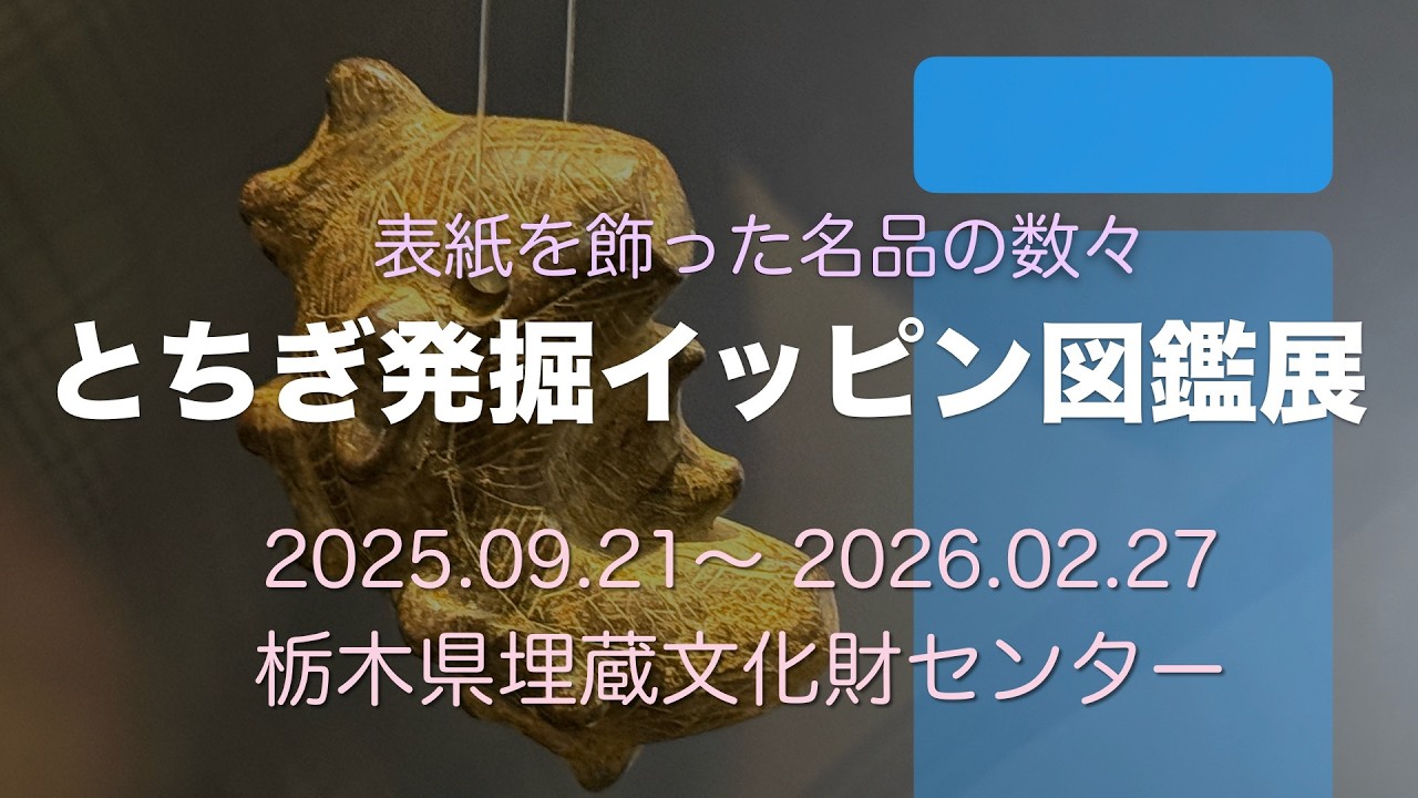 とちぎ発掘イッピン図鑑展 栃木県埋蔵文化財センター