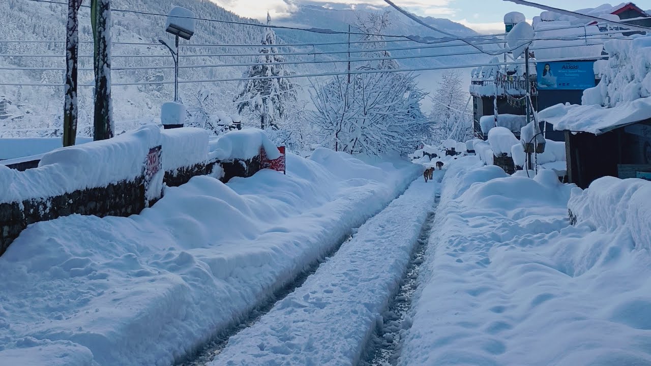 27 jan 🌨️🏔️ in manali #snow #manalidey #snowfall #coldseason #manali #travel 