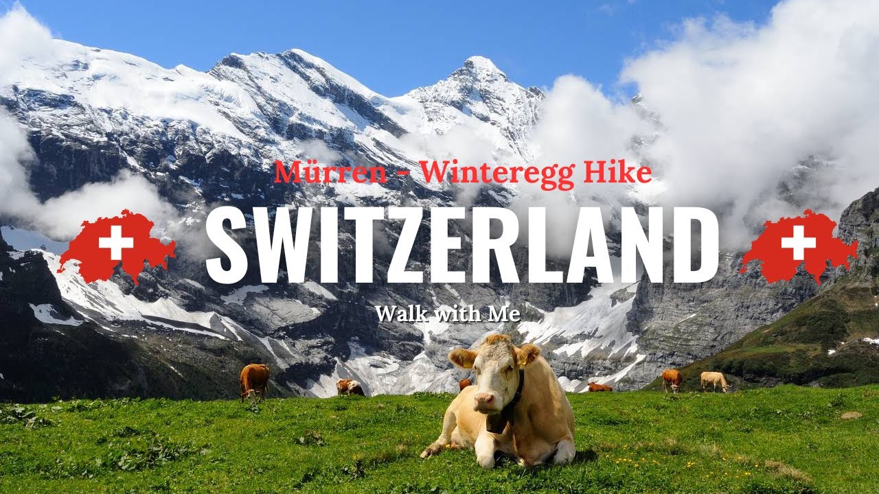 Relaxing Mürren to Winteregg Walk | Stunning Jungfrau & Lauterbrunnen Valley Views | C H | 4K