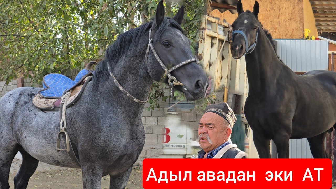 САТЫЛДЫ ЧАЛМАЙ ЖОК 