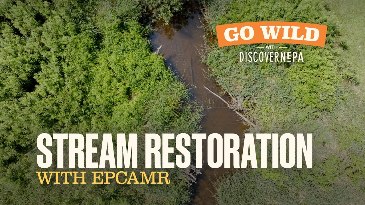 GO WILD with DiscoverNEPA: Stream Restoration with EPCAMR | Shickshinny, PA