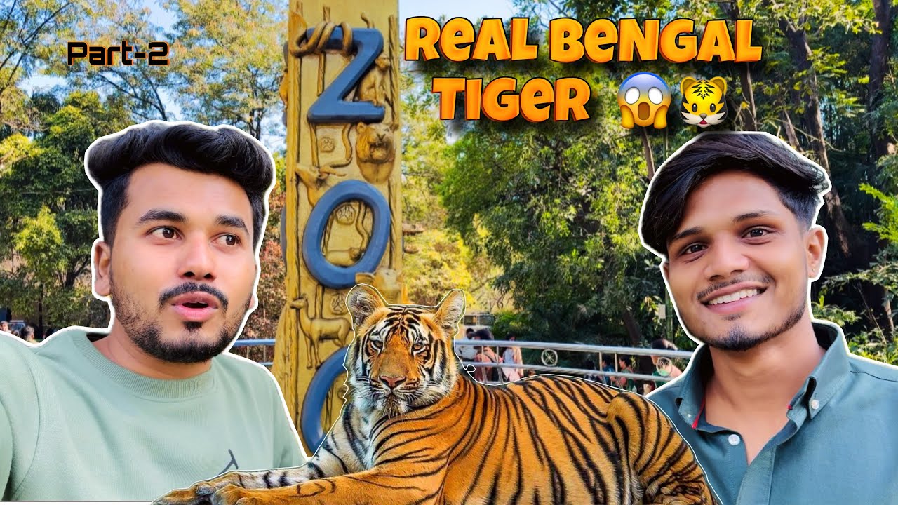 Zoo me Real Bengal Tiger सामने से देखा 🐯😳 | Vlog No. 17 ( Part-2 )
