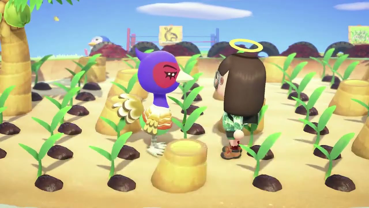 無人島生活（円周率の日）【あつまれ どうぶつの森】