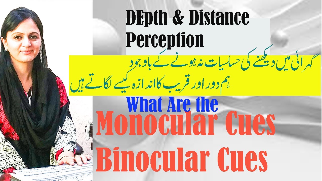 Depth perception in psychology: What are Monocular and Binocular Cues| #wellnessbyfarah #urdu/Hindi