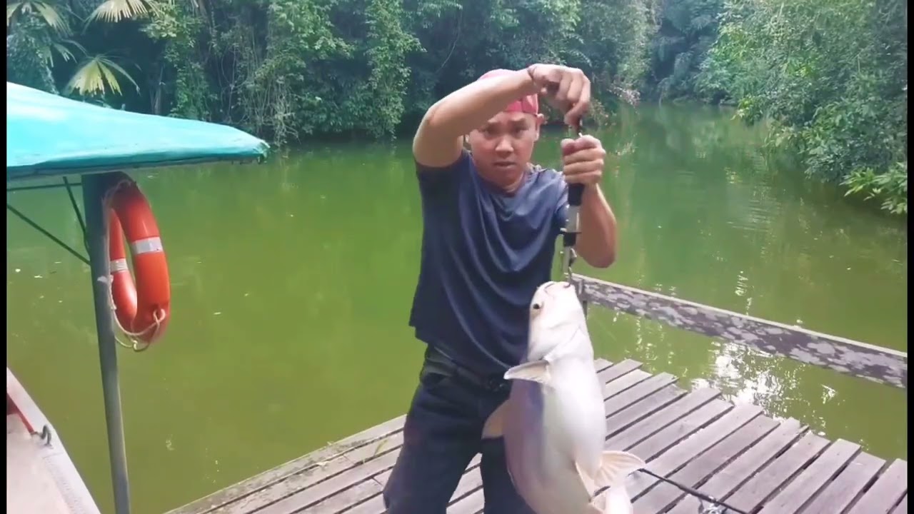 Mancing||Sambaran Yang Menegangkan