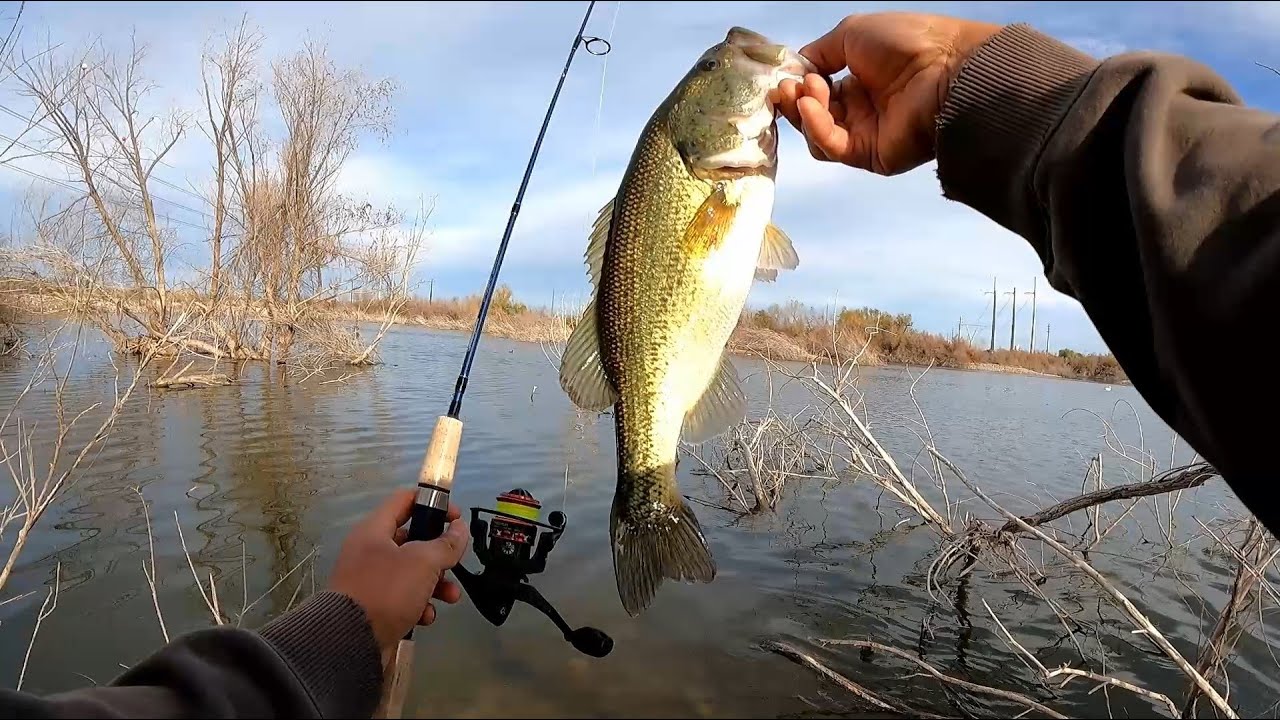 First Time Fishing Micro Series Shakespeare Ultralight