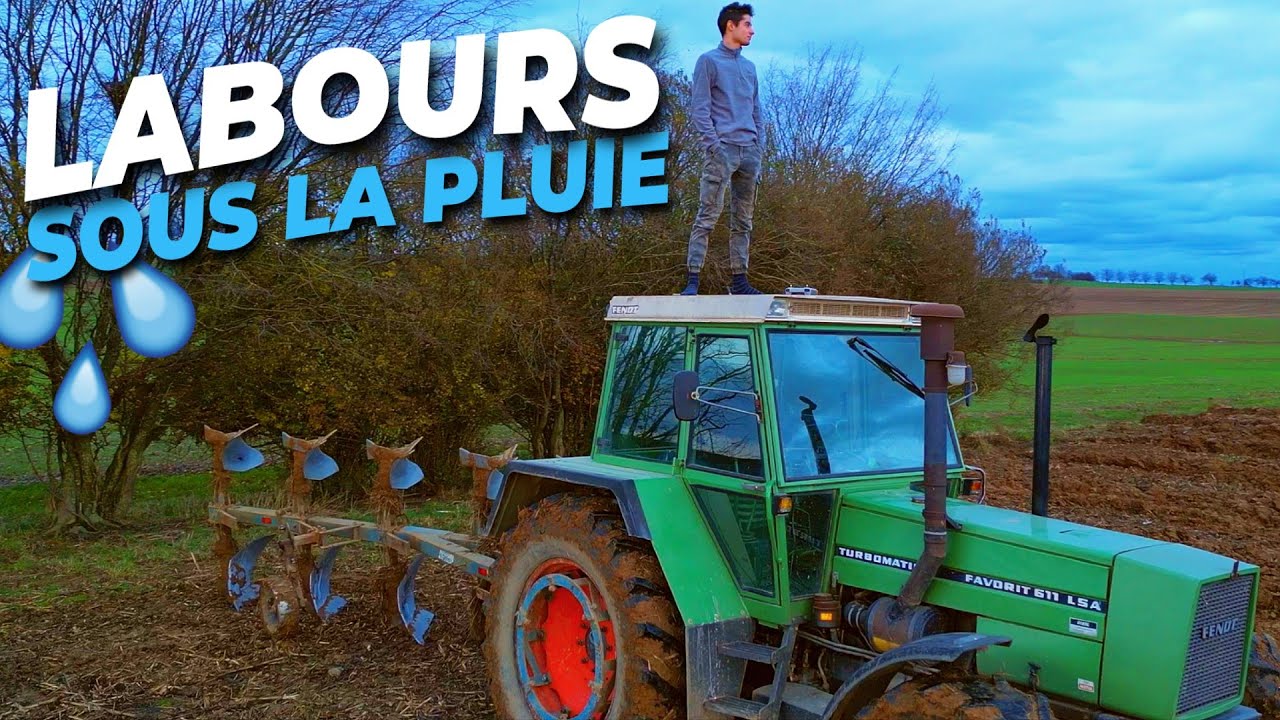 Les LABOURS 2024 (Vidéo BONUS)